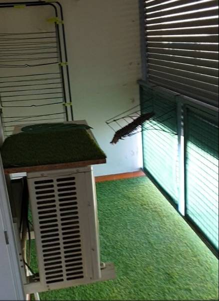Appartement - 57,25 m² - 3 pièces